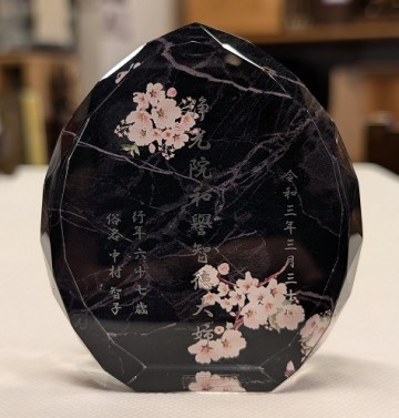 PXL_20260309_072941633.MP